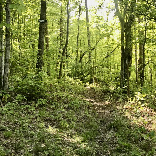 4. Entry into DBNF 4. Entry into DBNF